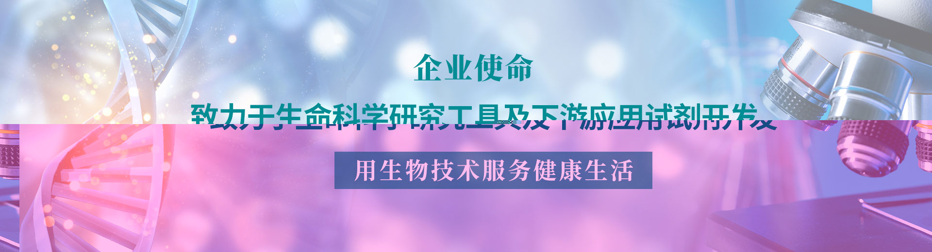 企业使命