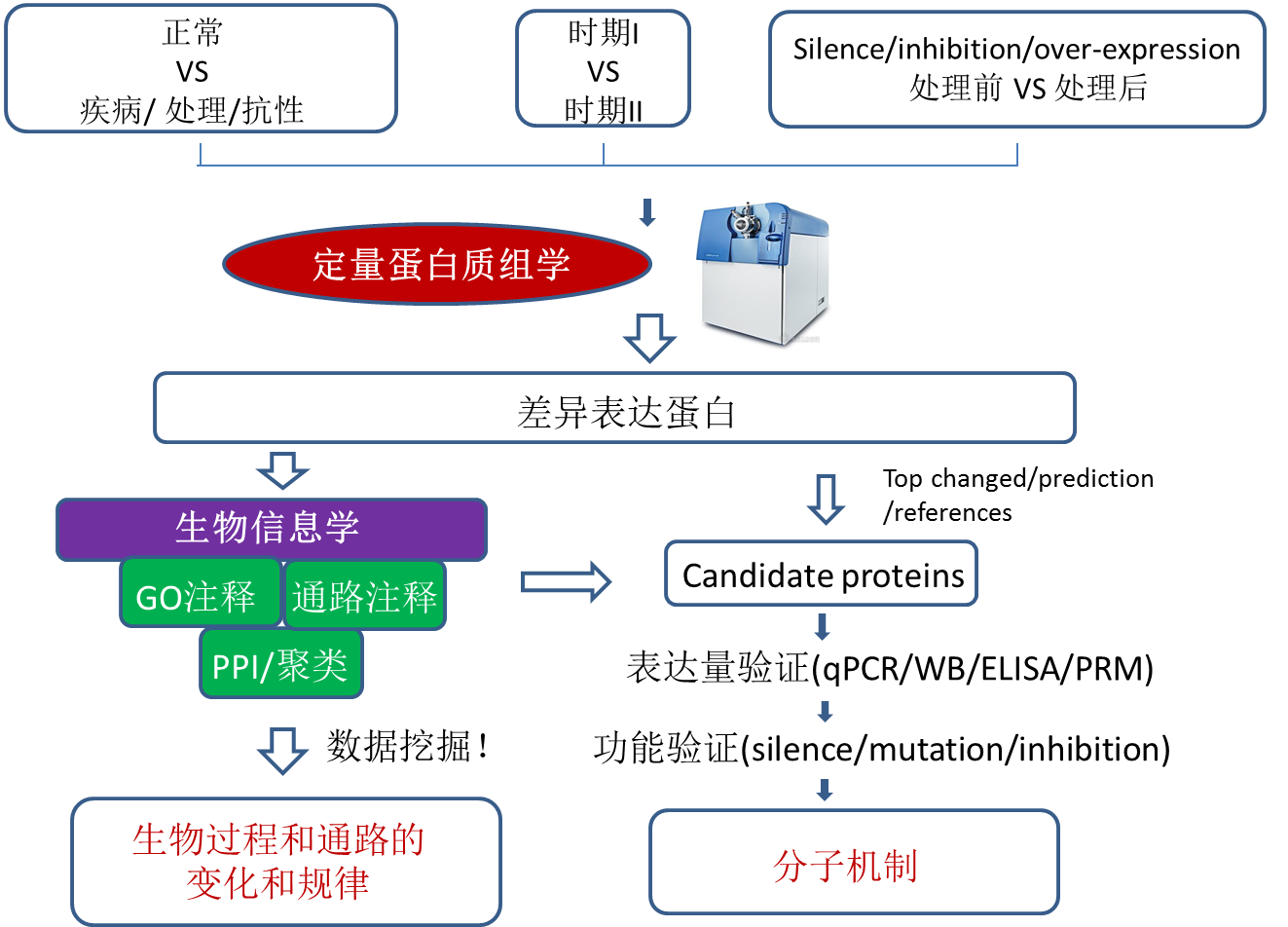 蛋白质组学研究思路 蛋白质组学研究思路